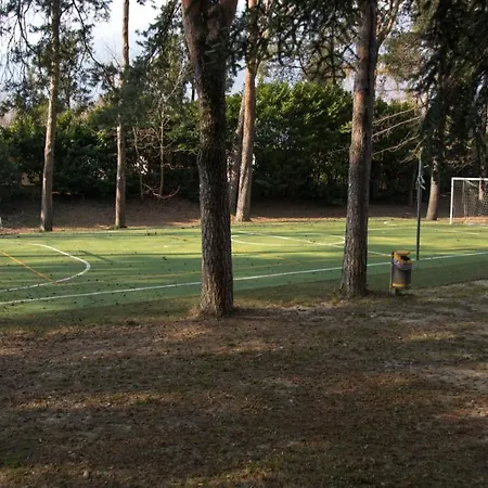 Monolocale Sul Lago Con Piscina *