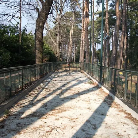 Monolocale Sul Lago Con Piscina Appartement